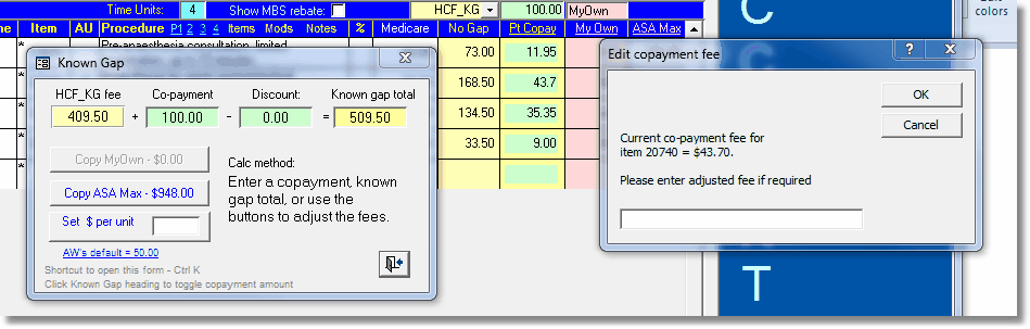 ManuallyEditItemCopayment