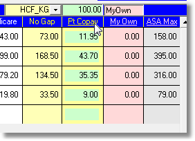 ToggleCopayColumnDisplay